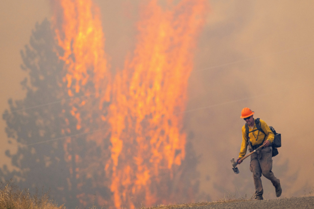 a wildland firefighter