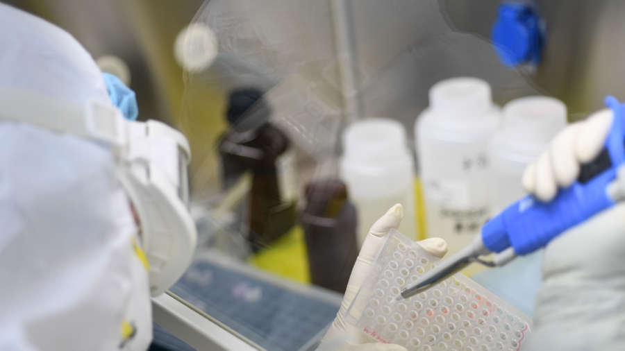 China’s New Swine Flu May Infect Humans: Study