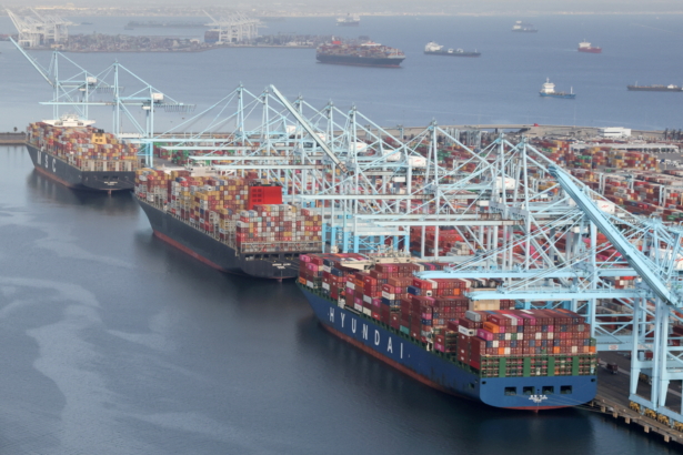 Shipping containers are unloaded from ships at a container terminal at the Port of Long Beach-Port of Los Angeles complex in Los Angeles, Calif., on April 7, 2021. (Lucy Nicholson/Reuters)