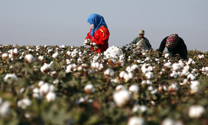 US Blacklists 26 Chinese Firms Over Forced Labor