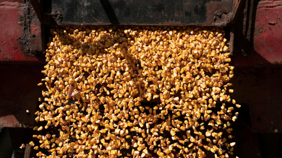 Polish Port Expects Ukrainian Grain Increase