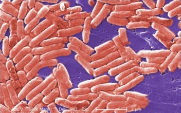 Los Angeles Restaurant Closes After 10 Confirmed Cases of Salmonella